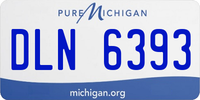 MI license plate DLN6393