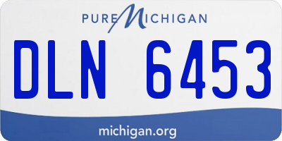 MI license plate DLN6453