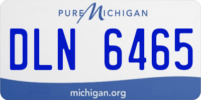 MI license plate DLN6465