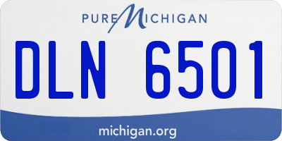 MI license plate DLN6501