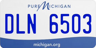 MI license plate DLN6503