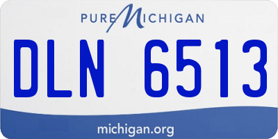 MI license plate DLN6513