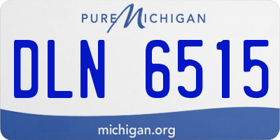 MI license plate DLN6515