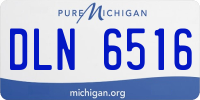 MI license plate DLN6516