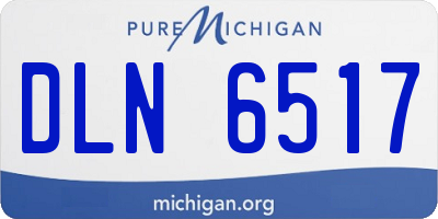 MI license plate DLN6517