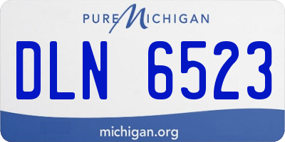 MI license plate DLN6523