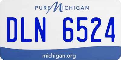 MI license plate DLN6524