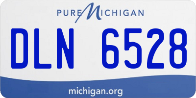 MI license plate DLN6528