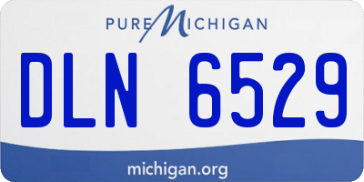 MI license plate DLN6529