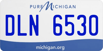 MI license plate DLN6530