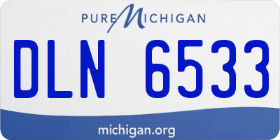 MI license plate DLN6533