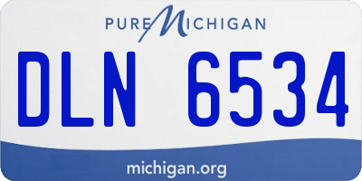 MI license plate DLN6534