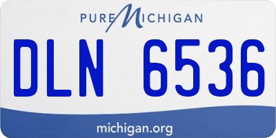 MI license plate DLN6536