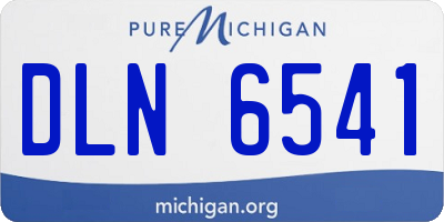 MI license plate DLN6541