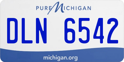 MI license plate DLN6542