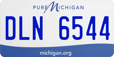 MI license plate DLN6544