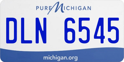 MI license plate DLN6545