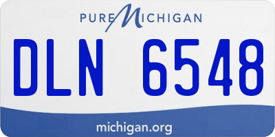 MI license plate DLN6548