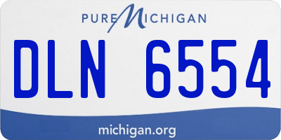 MI license plate DLN6554