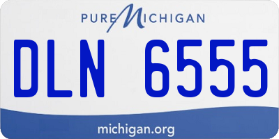 MI license plate DLN6555