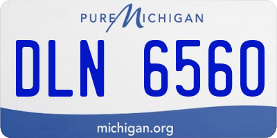 MI license plate DLN6560