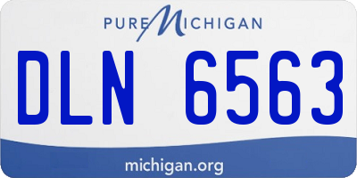 MI license plate DLN6563