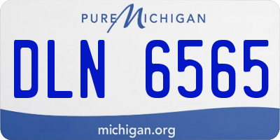 MI license plate DLN6565