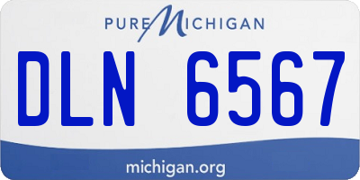 MI license plate DLN6567