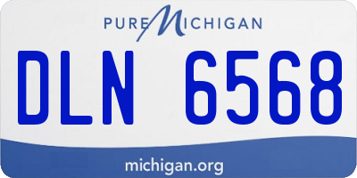 MI license plate DLN6568