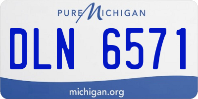 MI license plate DLN6571