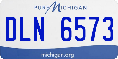 MI license plate DLN6573