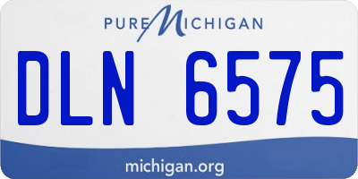 MI license plate DLN6575