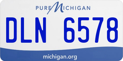 MI license plate DLN6578