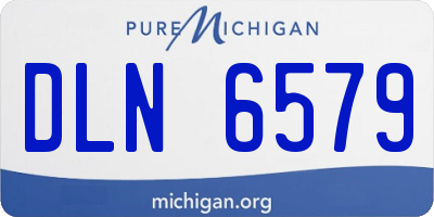 MI license plate DLN6579