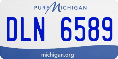 MI license plate DLN6589