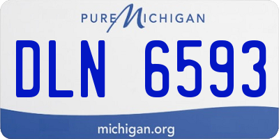 MI license plate DLN6593