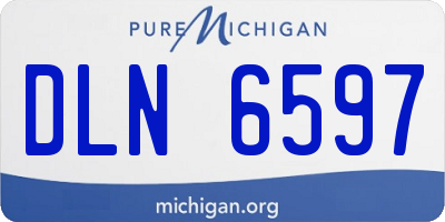 MI license plate DLN6597