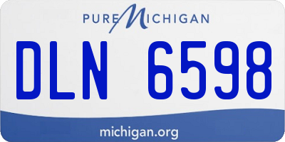 MI license plate DLN6598