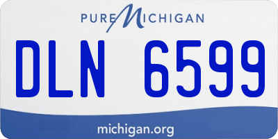 MI license plate DLN6599