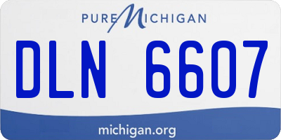 MI license plate DLN6607