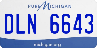 MI license plate DLN6643