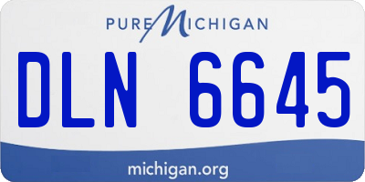 MI license plate DLN6645