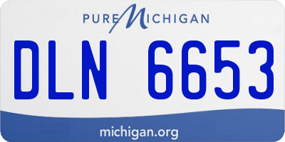 MI license plate DLN6653