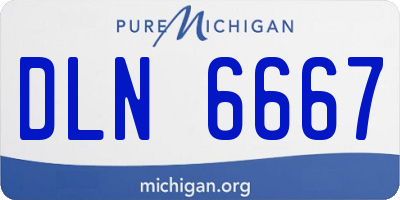 MI license plate DLN6667