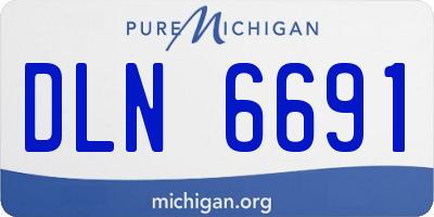 MI license plate DLN6691