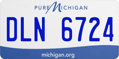 MI license plate DLN6724