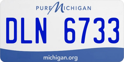 MI license plate DLN6733