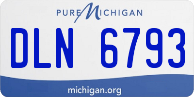 MI license plate DLN6793