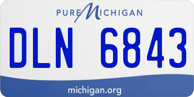 MI license plate DLN6843