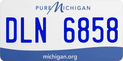 MI license plate DLN6858